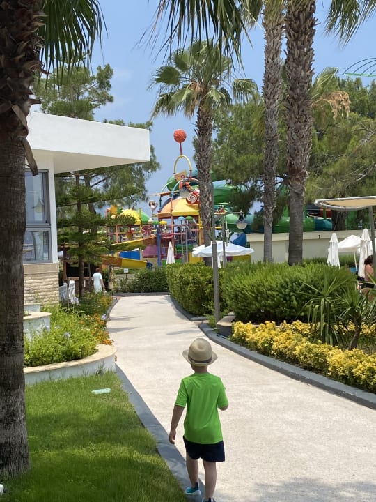 Gartenanlage Crystal Flora Pearl Collection