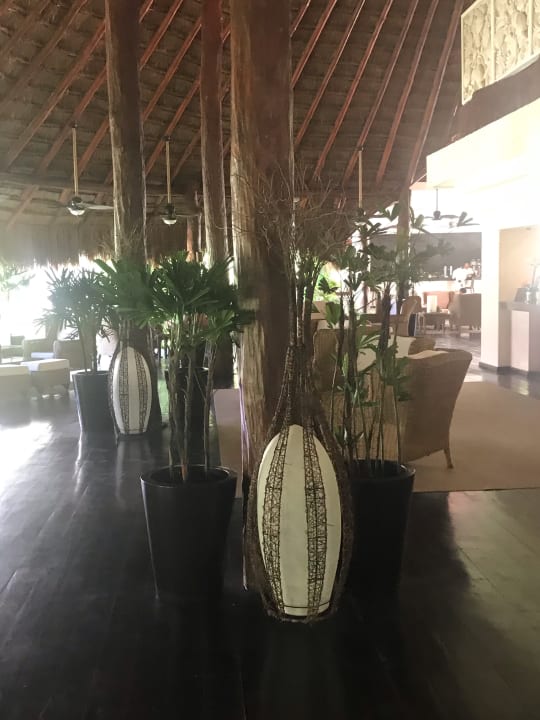 Lobby Akumal Bay Beach & Wellness Resort