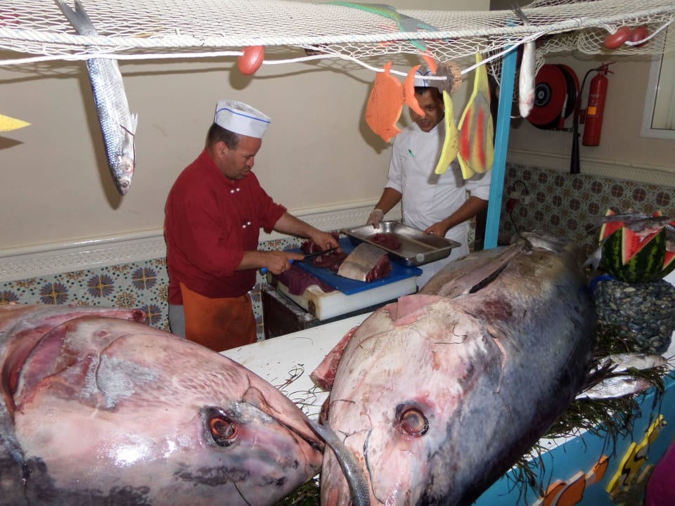 Świeże tuńczyki Houda Golf & Beach Club