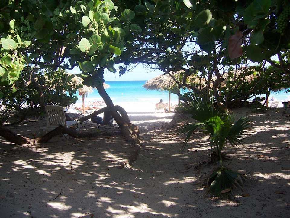 Blick von der Beachbar! Muthu Playa Varadero