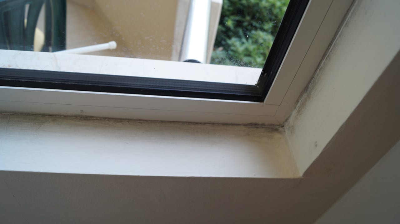 Schimmel am Fenster Hotel Orfeus Park