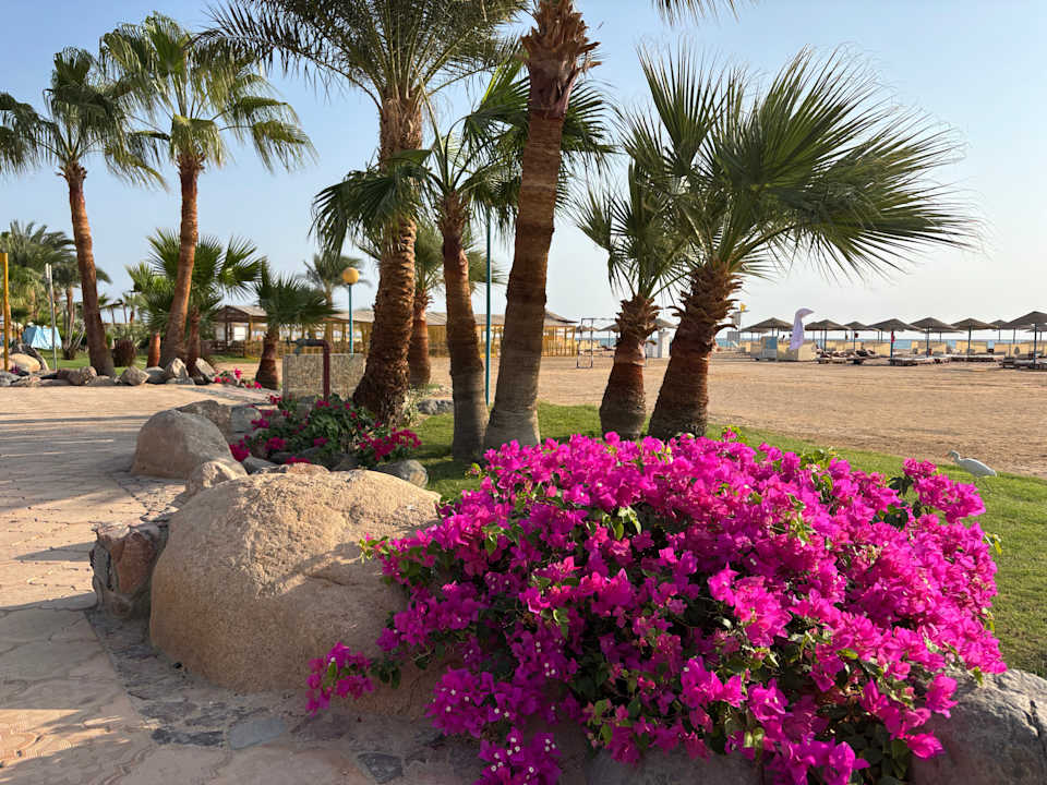 Strand Shams Safaga Resort