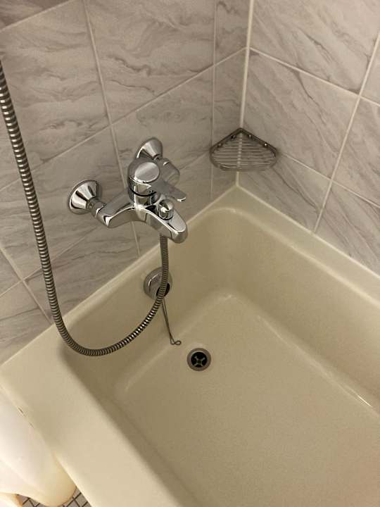 Zimmer Best Western Parkhotel Brehna - Halle