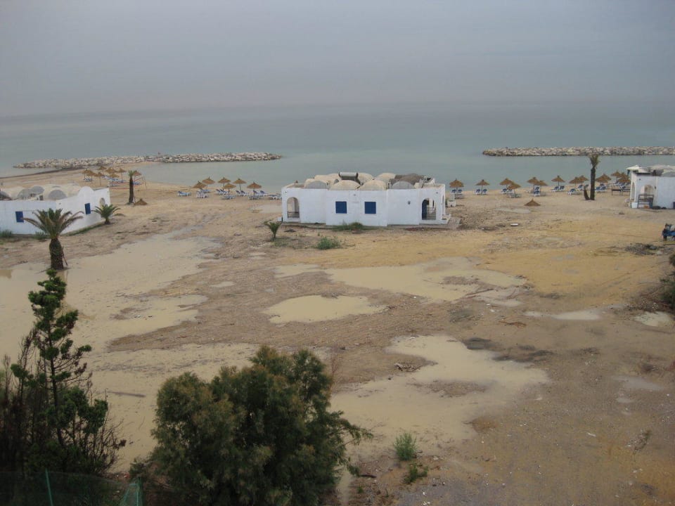 Abgesoffen Royal Lido Resort & Spa