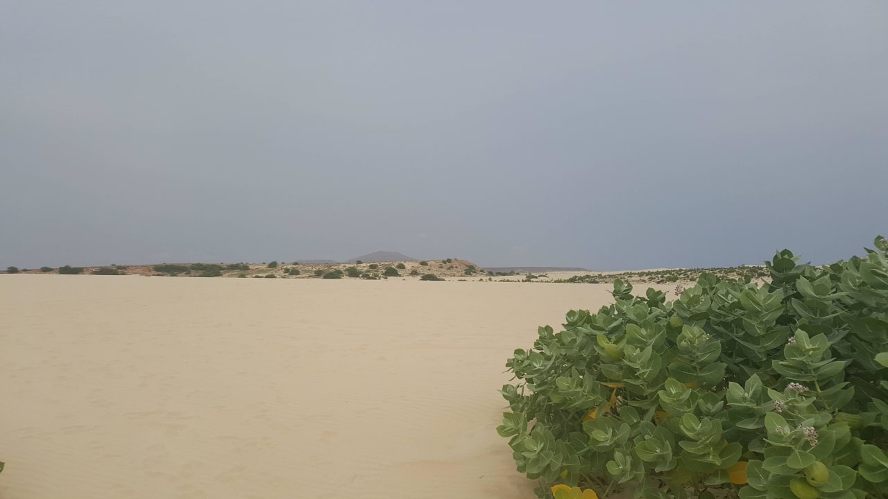 Einsamer Strand ca. 4-5 Km vom Hotel Hotel Riu Touareg