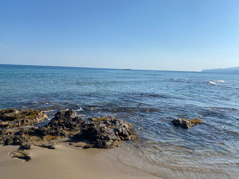 Strand Hotel Paloma Garden