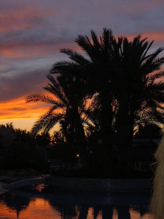 Abendstimmung TUI MAGIC LIFE Penelope Beach