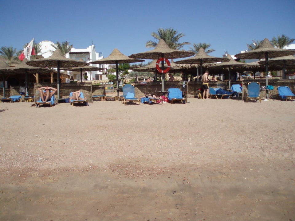 Strand mit Liegen und Schirmen JAZ Dahabeya