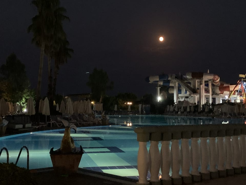 Pool Hotel Delphin Imperial