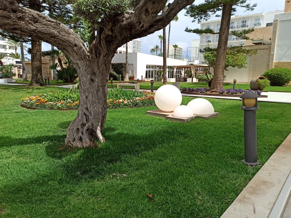 Gartenanlage CM Playa del Moro