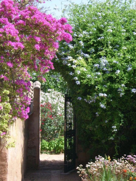 Eingang zum Garten Finca Son Marimon