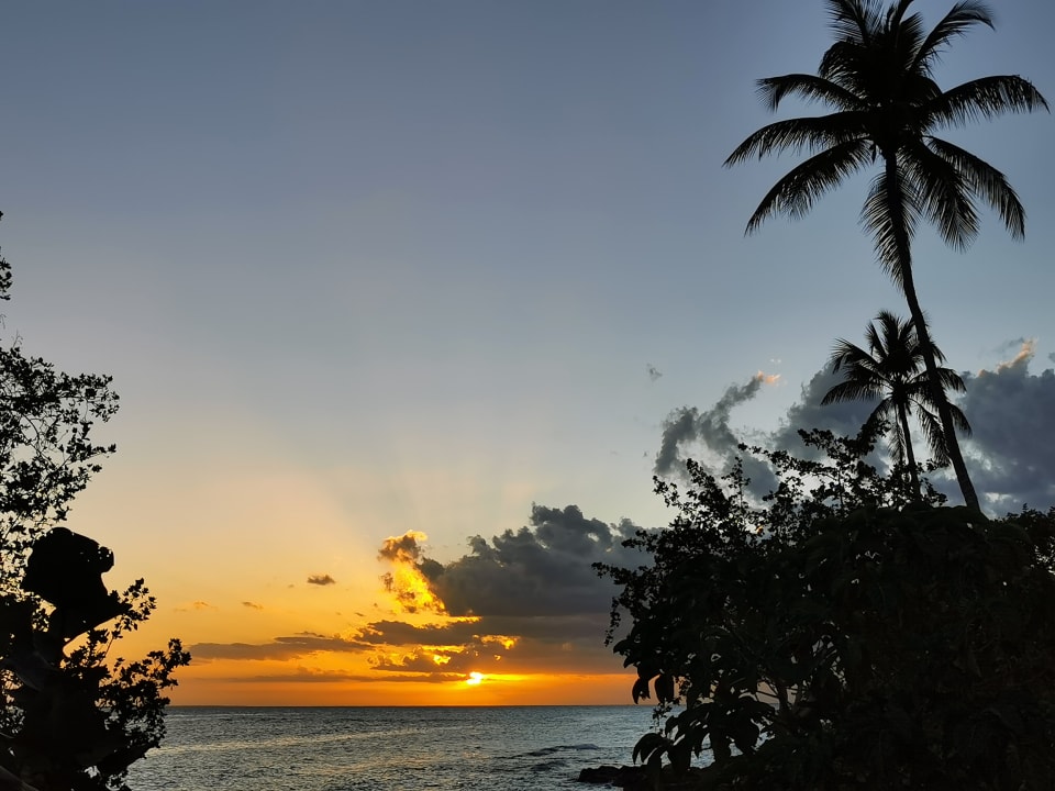 Ausblick Dreams La Romana Resort & Spa