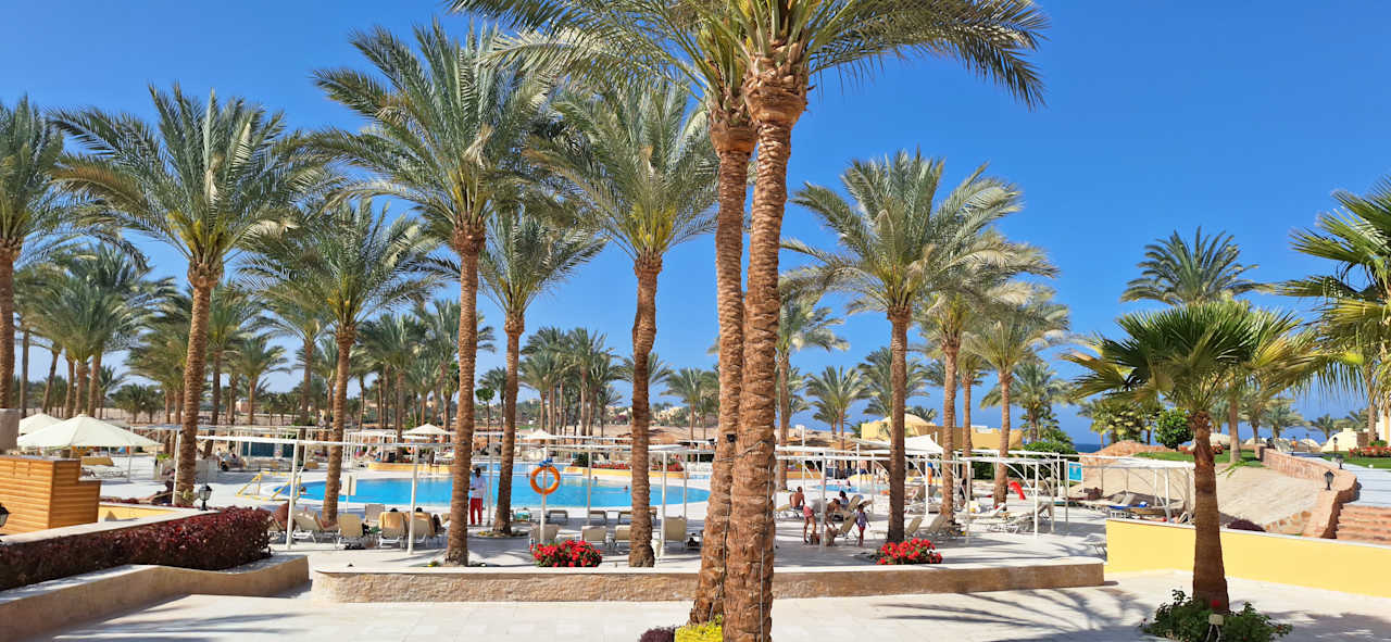 Pool Steigenberger Coraya Beach - Adults only