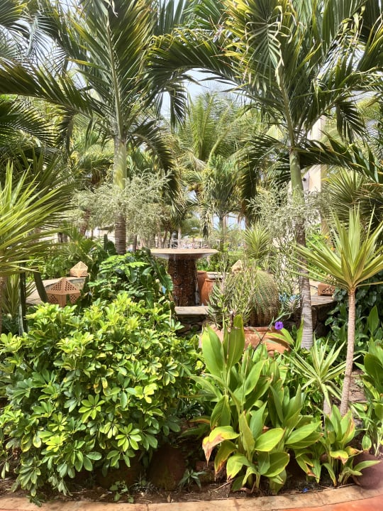 Gartenanlage Hotel Riu Touareg