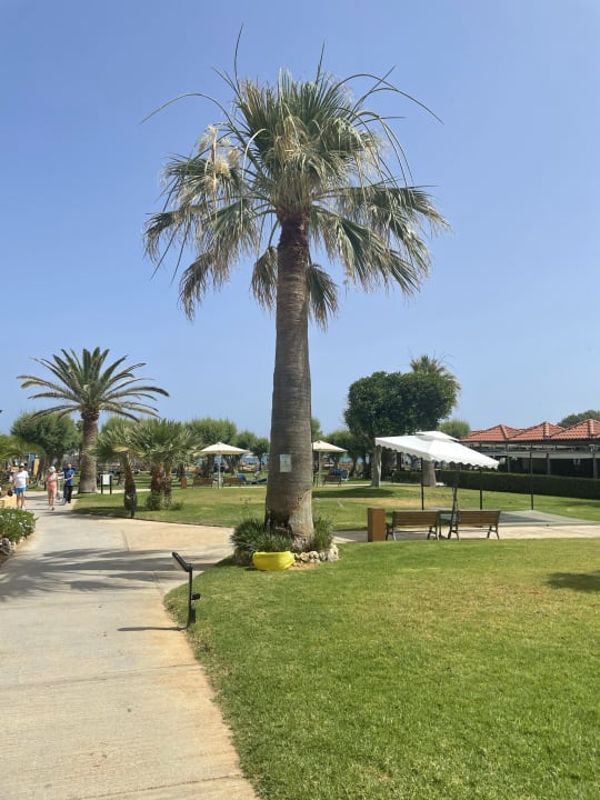 Gartenanlage Anissa Beach & Village