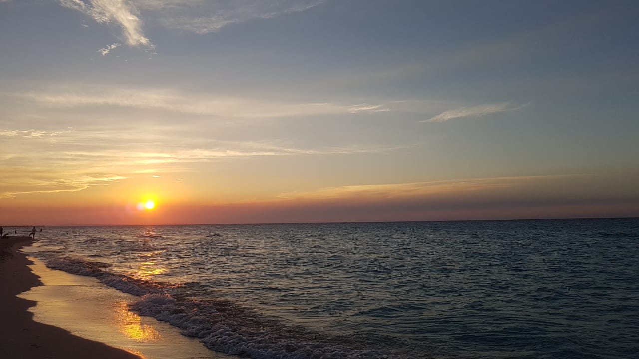 Strand Starfish Cuatro Palmas