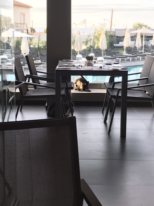 Gastro NEMA Design Hotel & Spa (Adults Only)