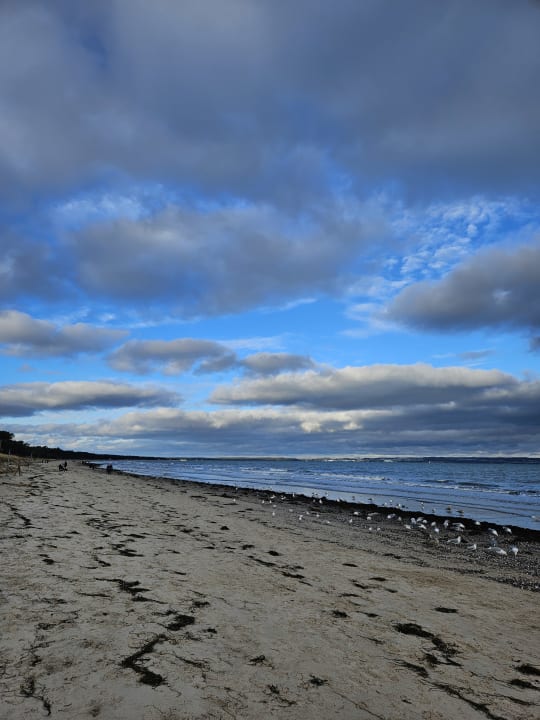 Strand Hotel AM MEER & Spa