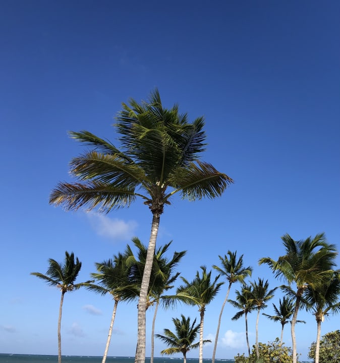 Außenansicht Serenade Punta Cana Beach & Spa resort