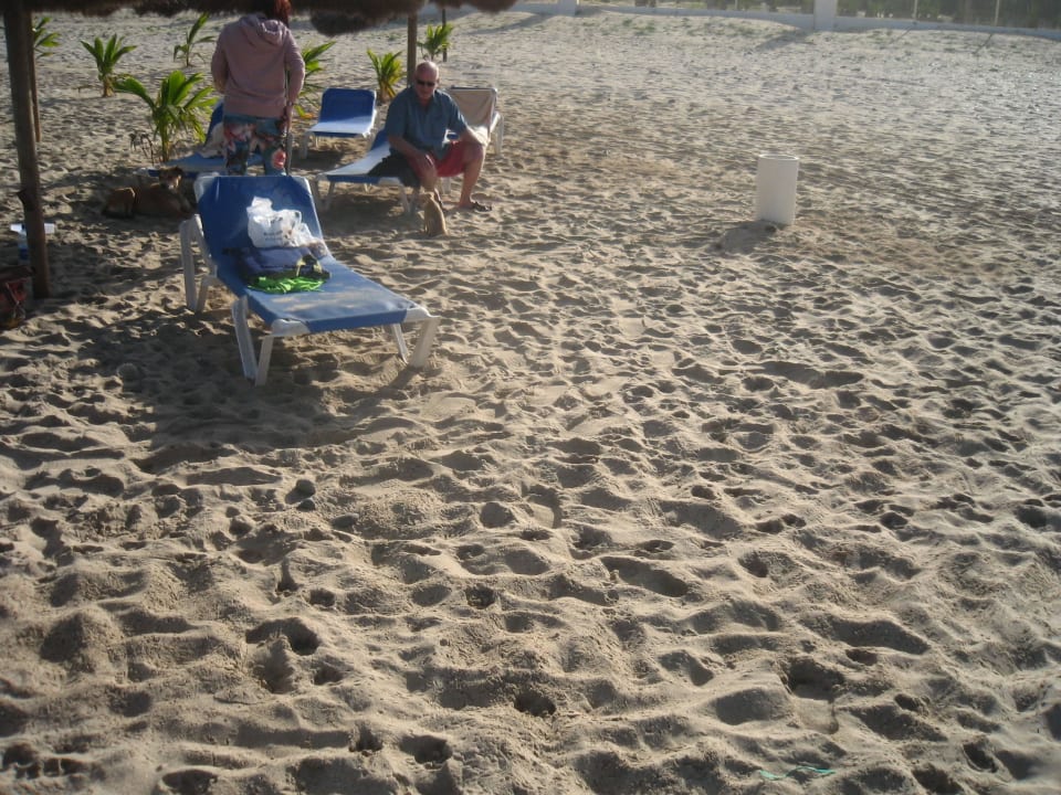 Strandhunde Hotel Riu Karamboa