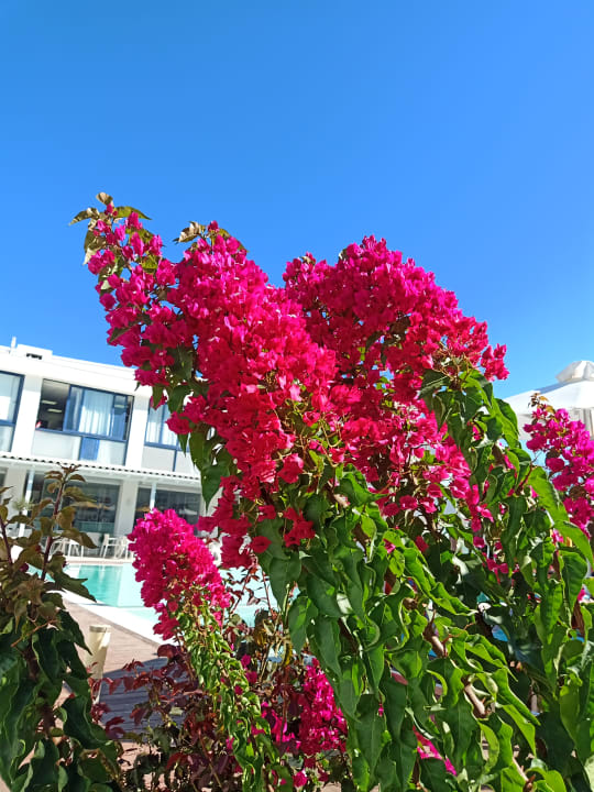 Außenansicht Nasos Hotel & Resort