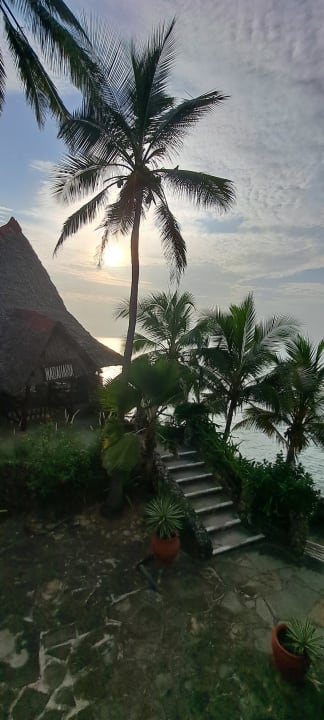 Gartenanlage Bahari Beach Hotel