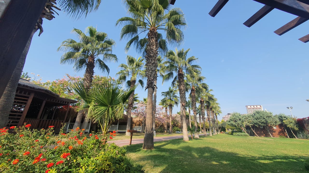 Ausblick Saturn Palace Resort Hotel