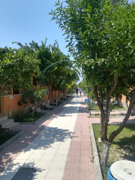 Gartenanlage Özlem Garden Hotel