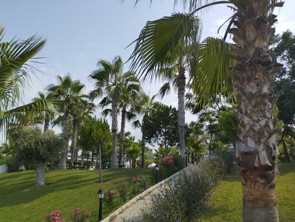 Gartenanlage Sultan of Dreams Hotel & Spa