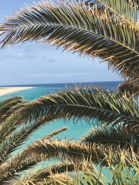 Ausblick SBH Costa Calma Beach Resort