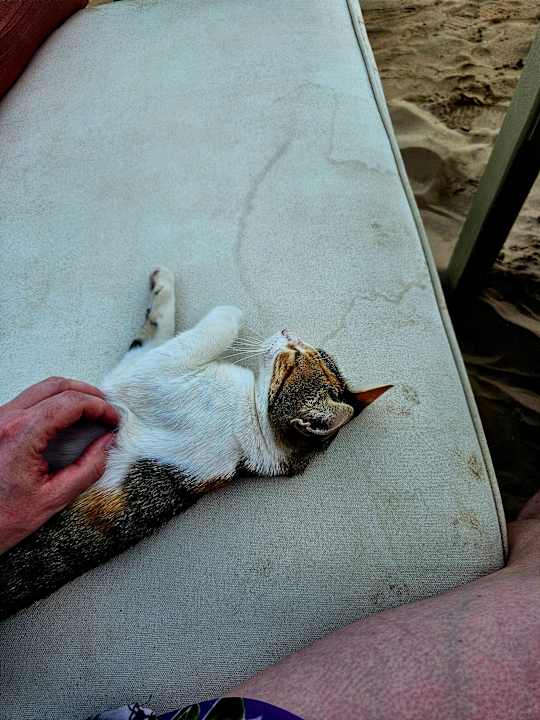 Sonstiges Lotus Bay Beach Resort