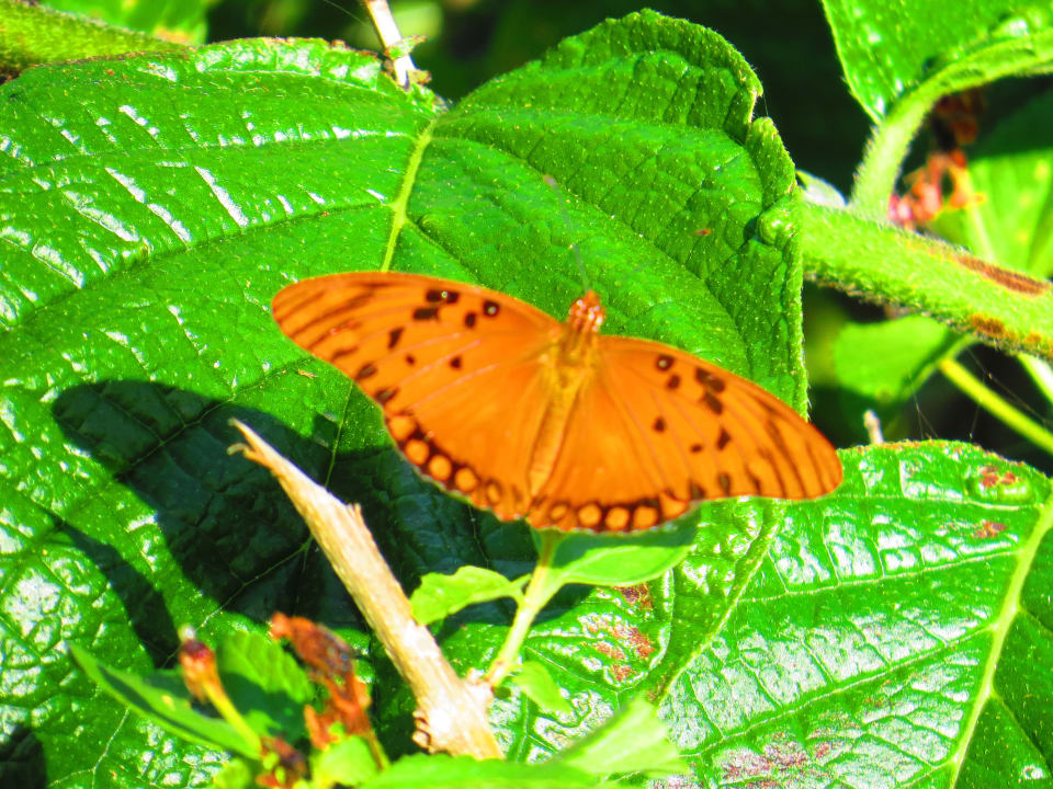 Gartenanlage Sol Rio De Luna y Mares