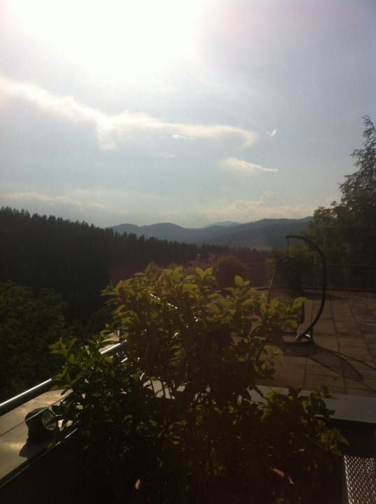 Aussicht Der WILDe EDER