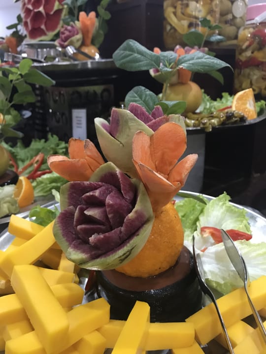 Gastro Asteria Collection Side