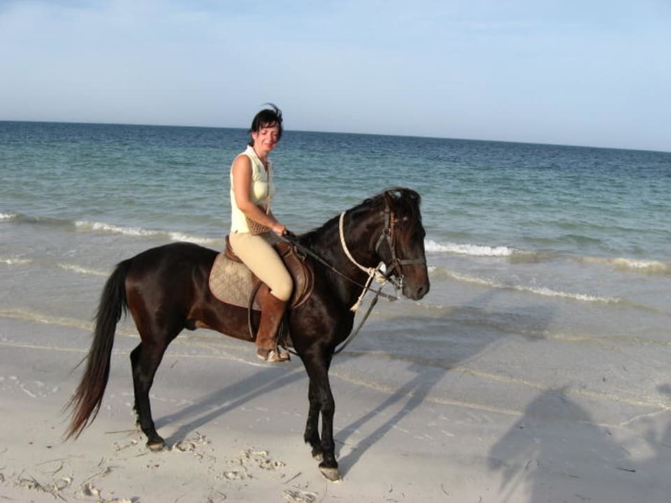 Reitausflug am Strand Hotel Eden Star