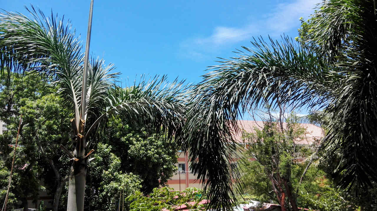 Ausblick City Garden Apartment Pattaya