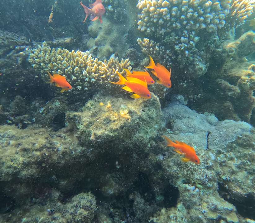 Strand Arabella Azur Resort