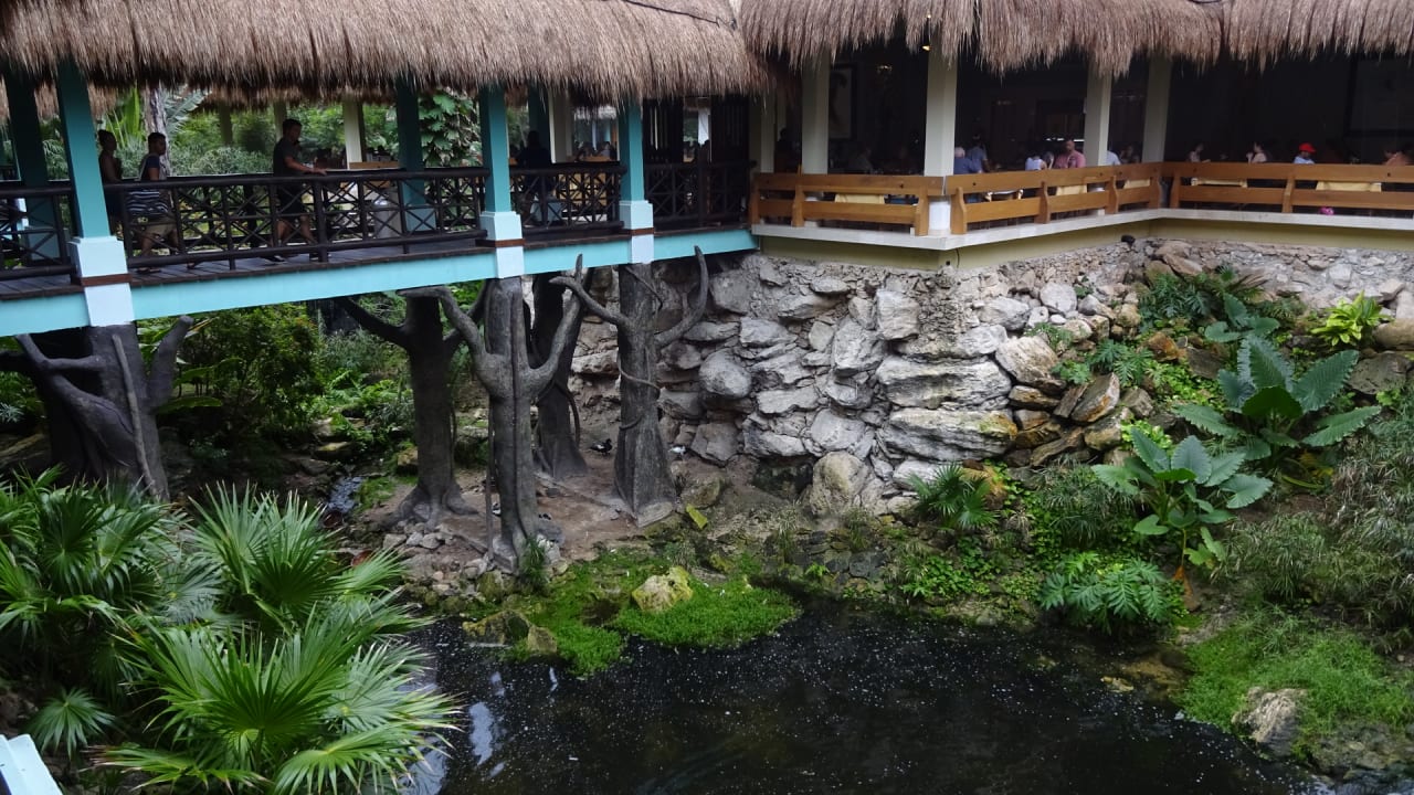 Gastro Iberostar Waves Quetzal