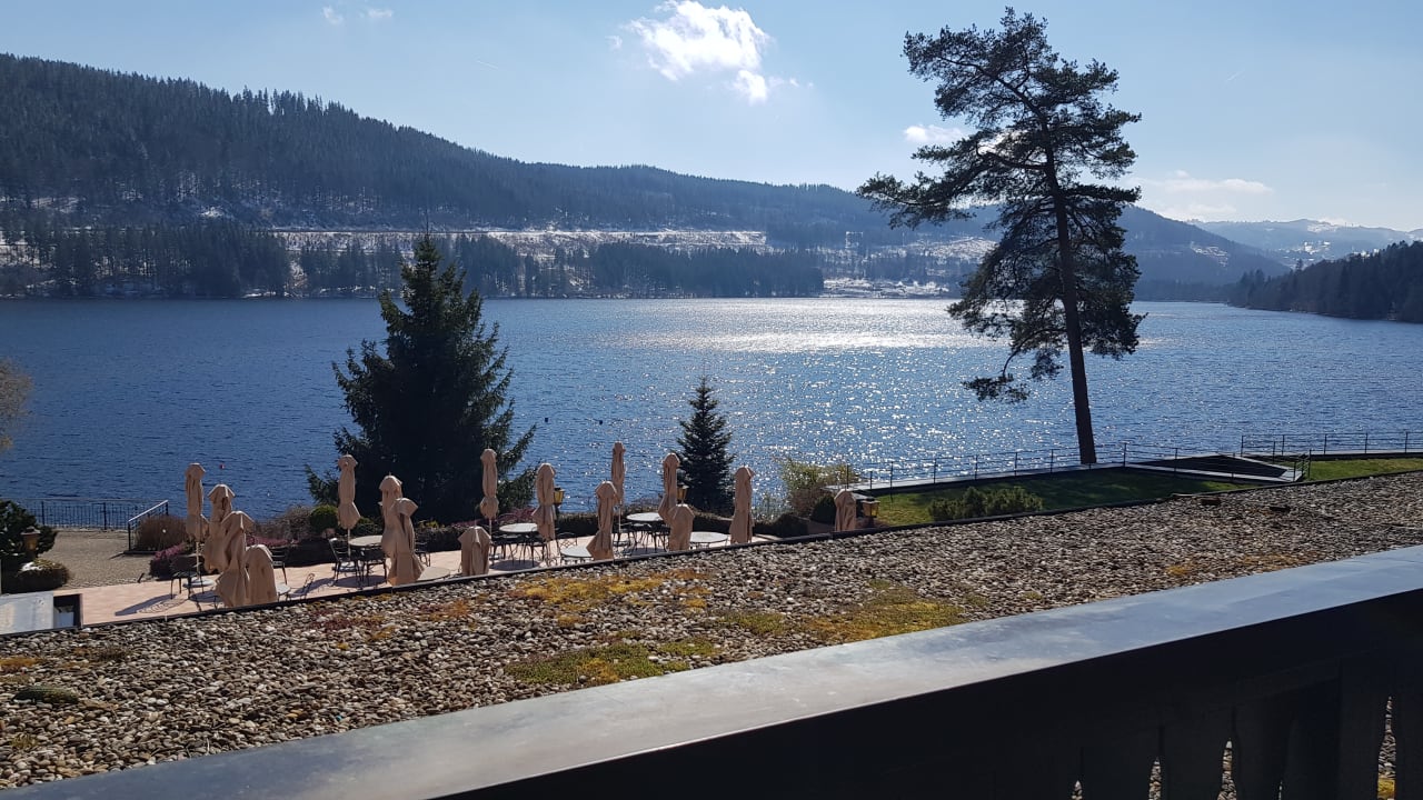 Ausblick Treschers Schwarzwald Hotel