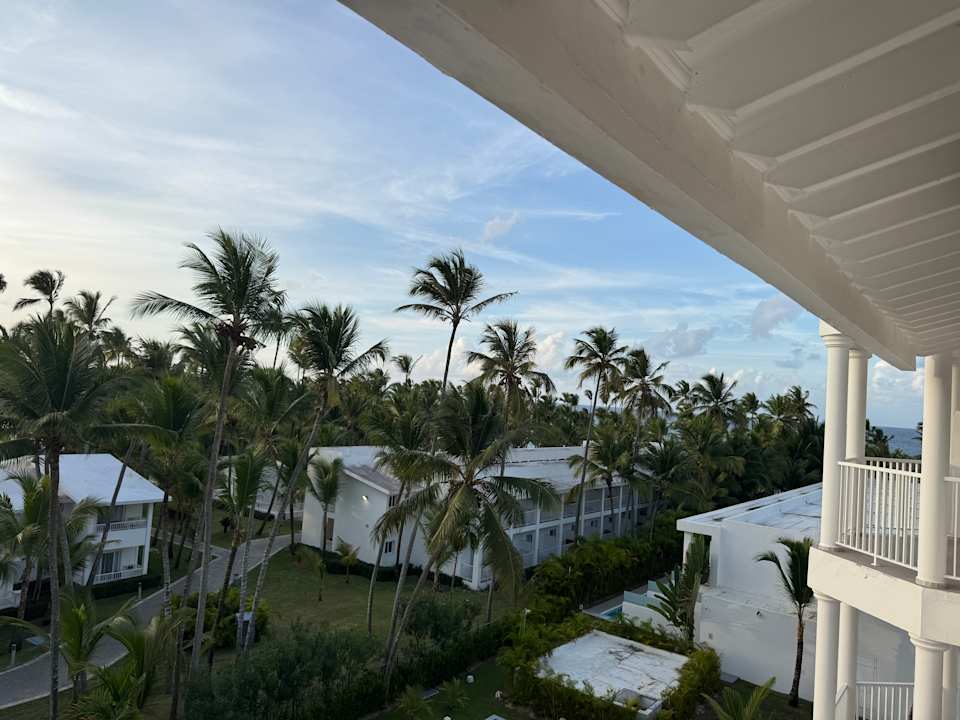 Zimmer Hotel Riu Palace Macao - Adults only