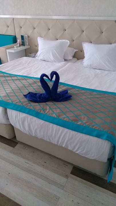 Zimmer Sentido Marea