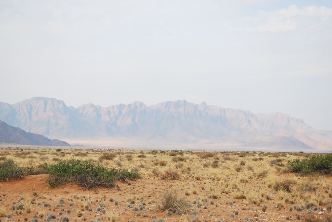 Desert Camp Desert Camp