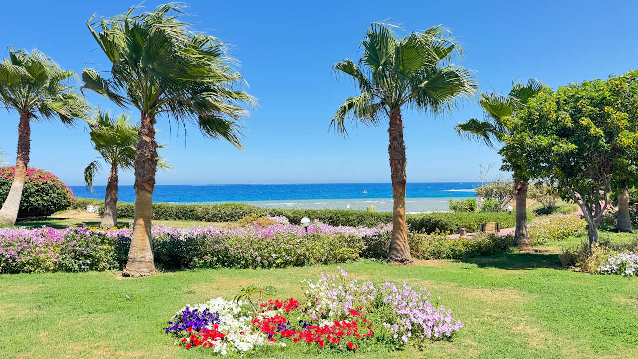 Gartenanlage Three Corners Equinox Beach Resort