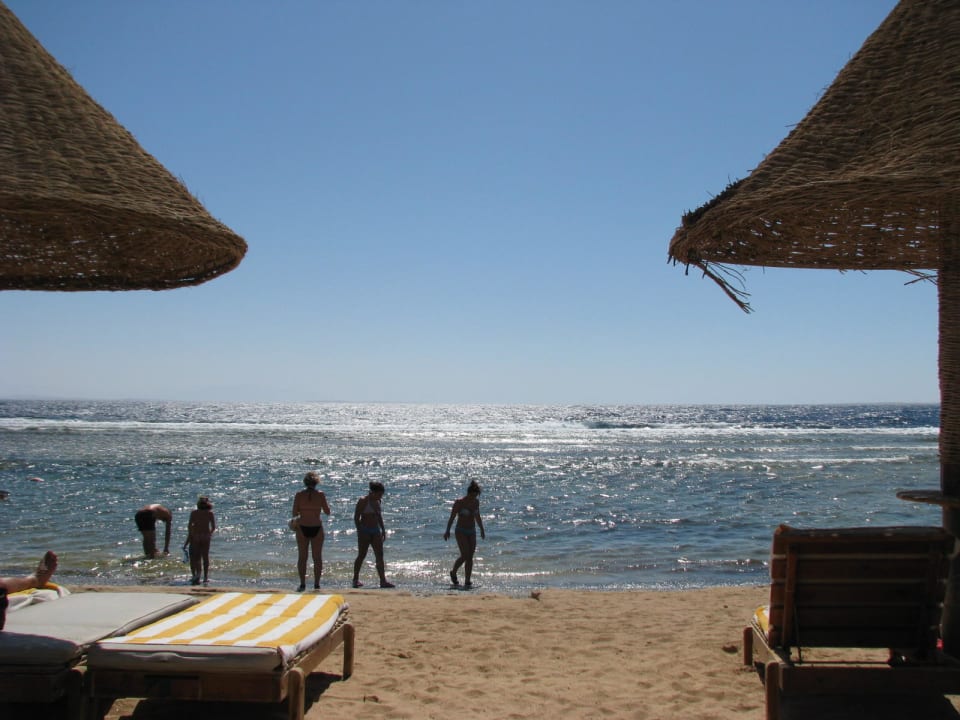 Plaża o poranku Sharm Grand Plaza Resort