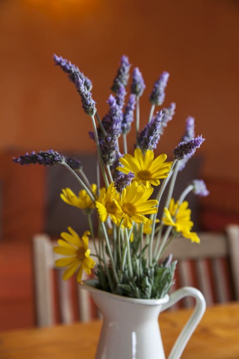 Sonstiges Agriturismo Podere L'Agave