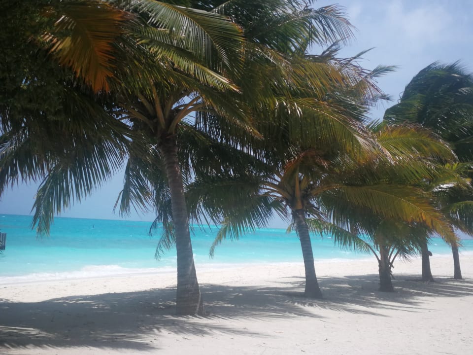Strand Meeru Maldives Resort Island