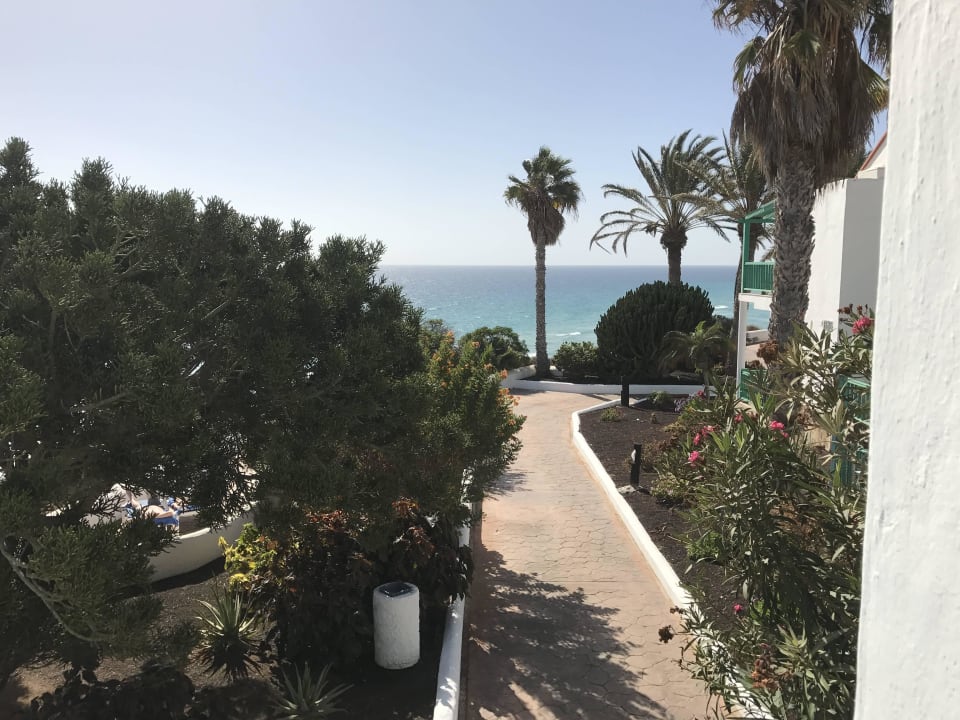 Garten Aldiana Club Fuerteventura