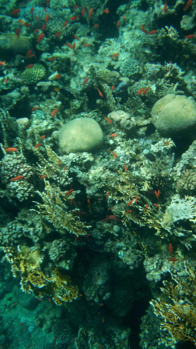 Strand Happy Life Village