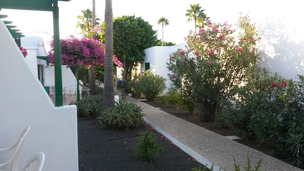 Wege zu den Bungalows Hotel Hyde Park Lane