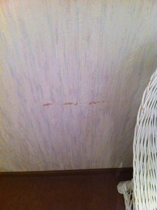 Wand Landhotel Gödeke